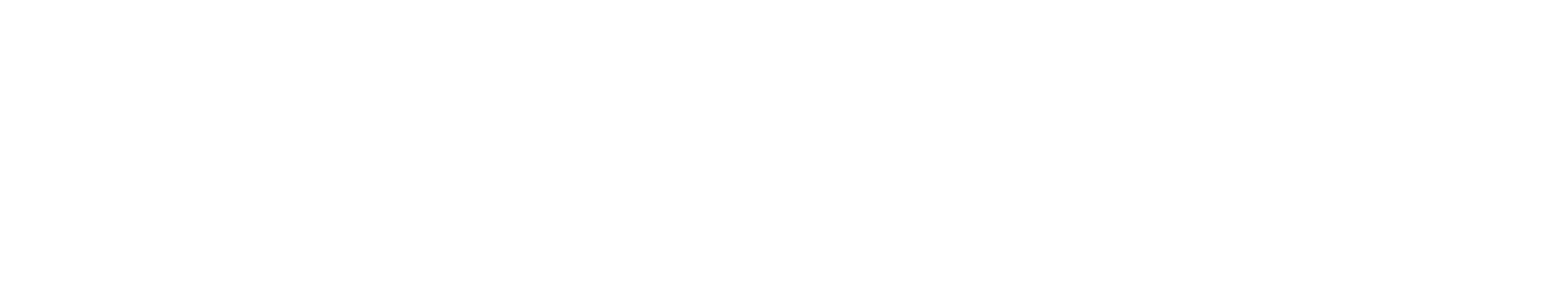 Kara Connect - Logo A - RGB - White